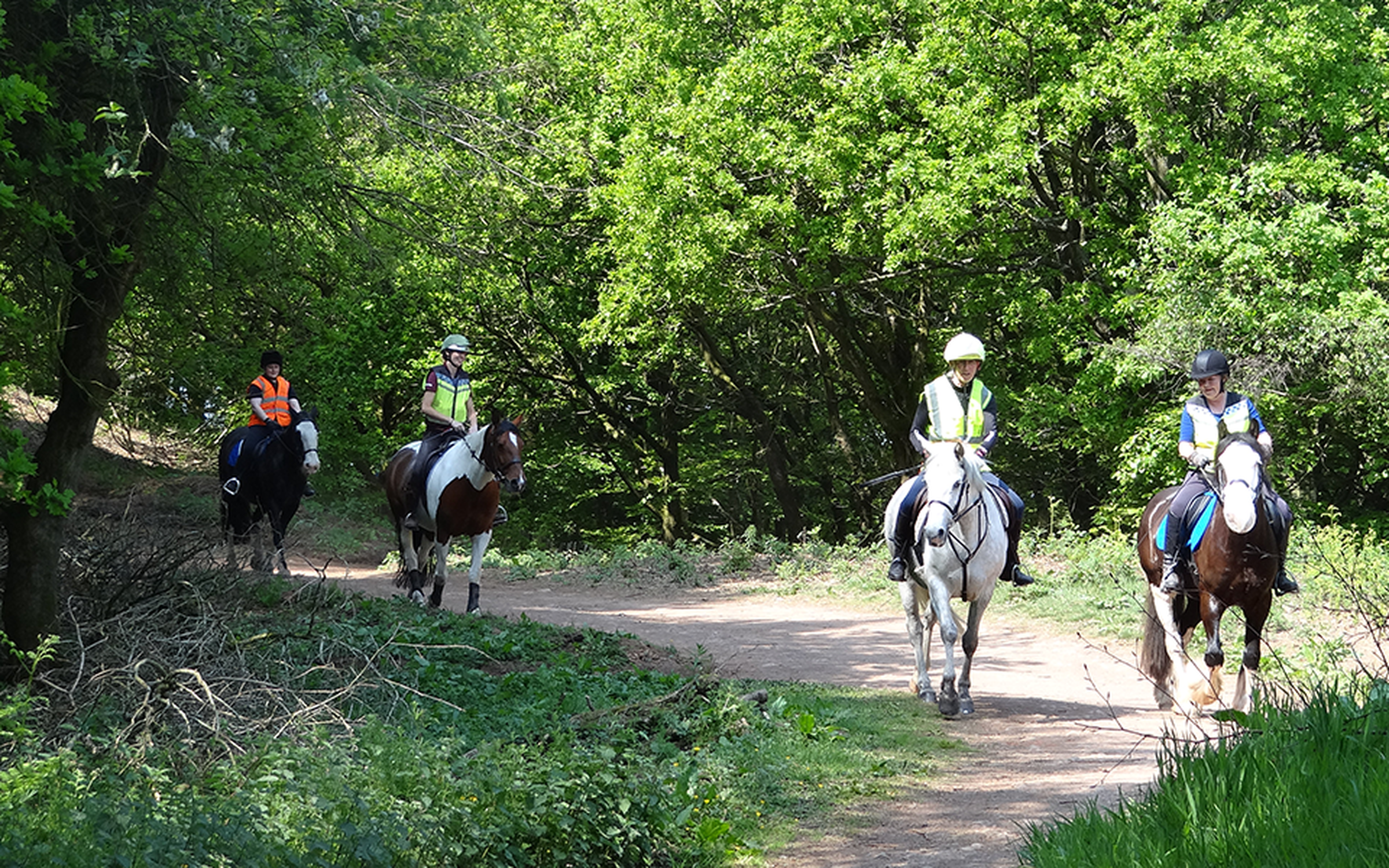 Horse riding trails at Hamsterley Forest Forestry England